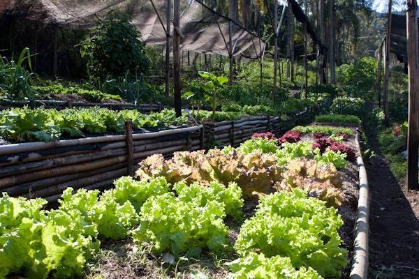 Fazenda Montanhas Do Japi Willa Cajamar Zewnętrze zdjęcie