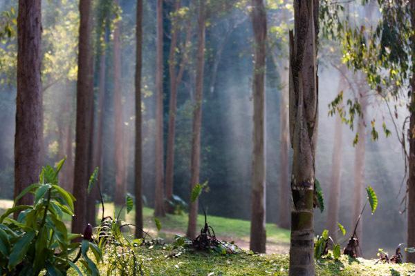 Fazenda Montanhas Do Japi Willa Cajamar Zewnętrze zdjęcie